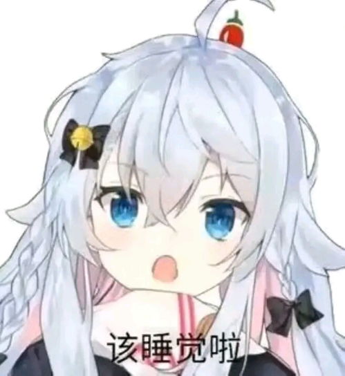 哔哩哔哩专栏