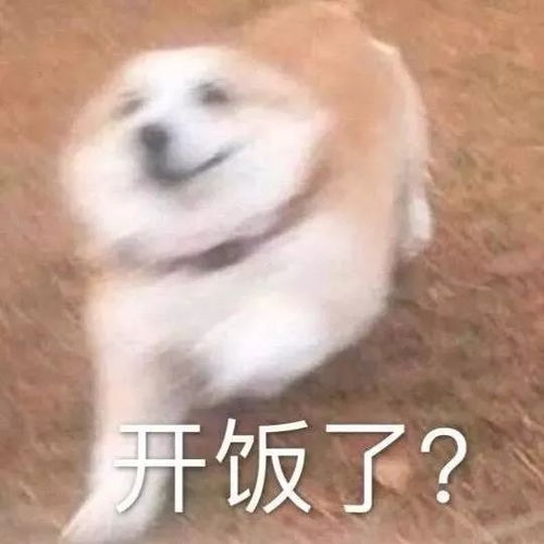 聊天必备沙雕表情包
