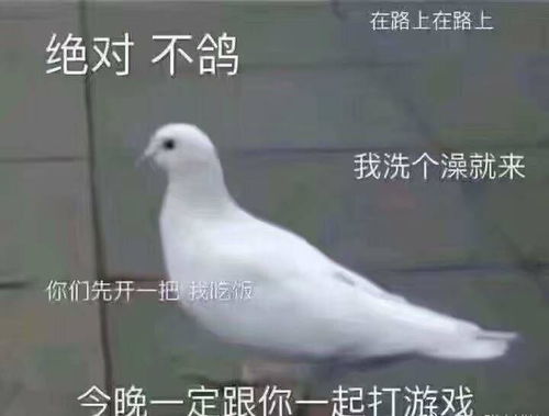 你都存了哪些沙雕表情包