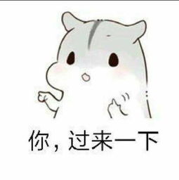 实力撩妹套路表情包套路