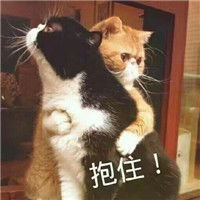 微信抱抱表情包图片2018精选要抱抱委屈脸表情包大全
