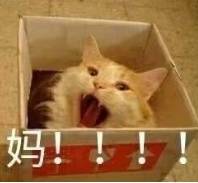 13连续一周雨合肥人可能入了个假秋,不过还有个好消息