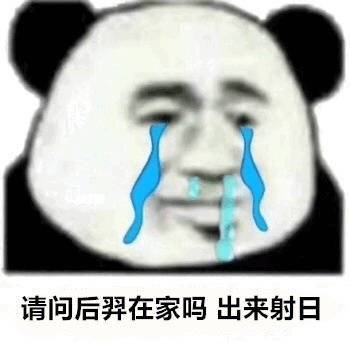 记录我200颗珍贵的生石花种子成长记
