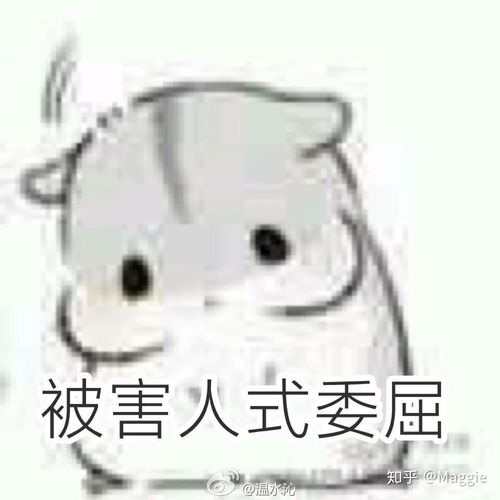 你为什么选择了当初学习的专业