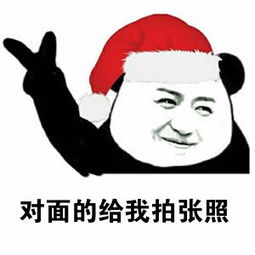 圣诞帽表情图片承接带圣诞帽表情包