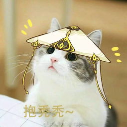 剑网三要抱抱表情包这些猫长得好萝莉