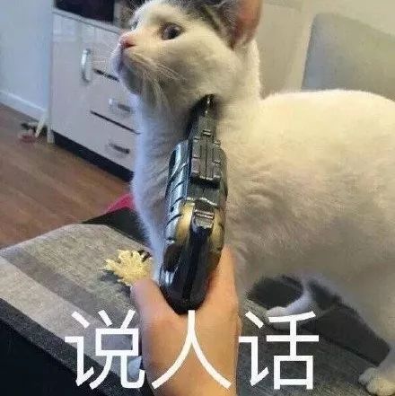 小可爱们的表情包