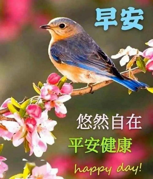 6月6日最漂亮的早上好祝福语图片温馨清晨群发短语暧心问候动图
