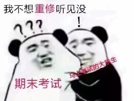 玩表情包表情