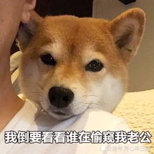 不想让男票打游戏甩个表情包过去,男友没辙,只能宠着