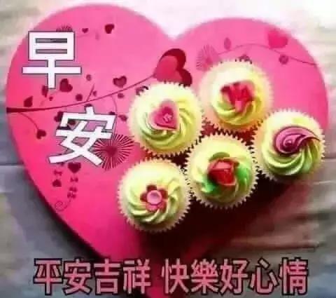 早上好表情包新版高雅早安
