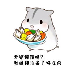 仓鼠夫君表情包老婆早上好老婆中午好老婆晚安