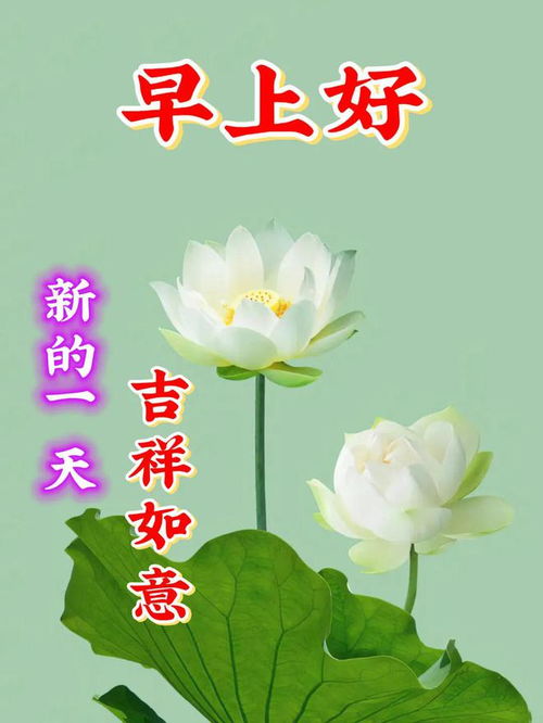 2023年8月28日周一早上好,早安创意动态图片大全,早安表情包问候祝福语大全