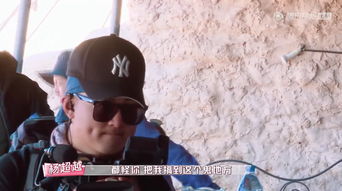 真哭了表情包发脾气