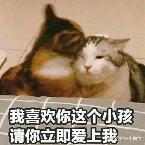 趴你怀里表情包