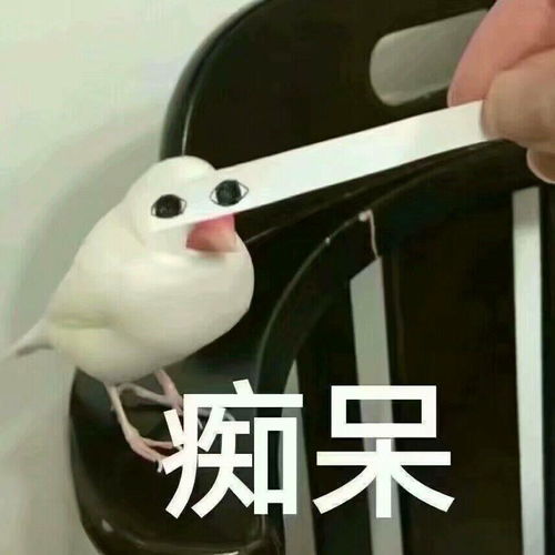 豆瓣评分9.1的穿越题材异世番无关情爱的权谋之争