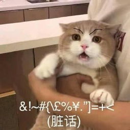 十条笑话爸,今天父亲节,能跟你一起洗碗我觉得好幸福