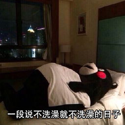 五一放假在家的我