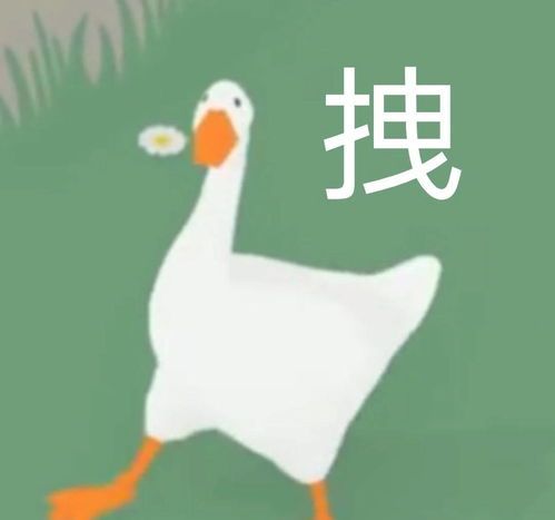 适合冲浪女孩儿用的表情包