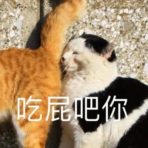 你吃屁表情包