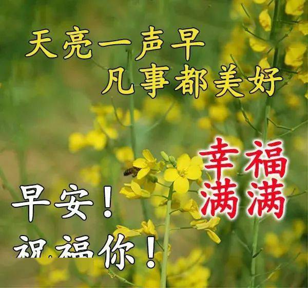 7张非常漂亮的早安动态表情鲜花图片早上好发朋友圈动态祝福图片大全