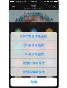 干货丨如何将视频转化成表情包