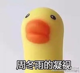 韩红回应表情包年轻人价值观扭曲周杰怒怼表情包是网友玩儿得大,还是明星气度小