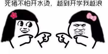 一开学就蔫没有啥是一场轰趴解决不了的史上最强别墅趴推荐