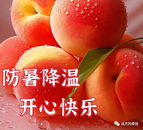 今日最新早上好表情包大全,夏季炎热,防暑降温,健康快乐