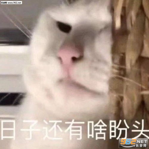 日子还有啥盼头表情包装哭表情包下载乐游网游戏下载