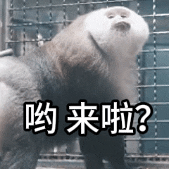 悟空霸榜热搜天命人来贵州上分