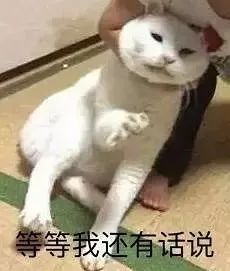 有一种恋情,被拍到四次都没有水花赵丽颖冯绍峰你们谈的是假恋爱吗
