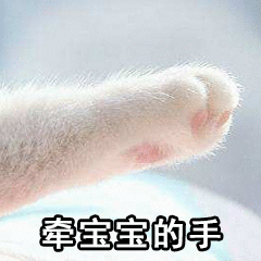 动态表情包添加文字app黄夏温