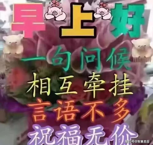 6月23日夏季清晨群发朋友圈的早上好图片动态温馨早上好鲜花动态表情图片