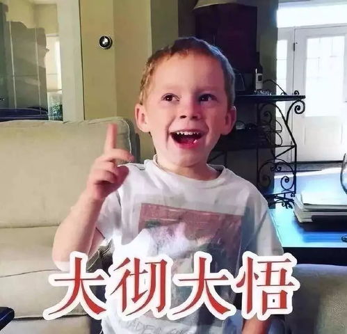 cp发糖表情包刘问
