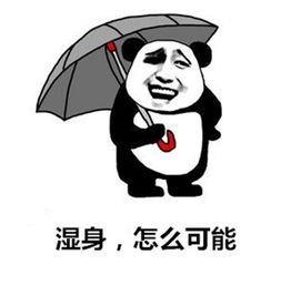 这个周末,你打算以什么姿势迎接下半年