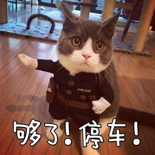 如果穿越回古代,你的专业能干什么