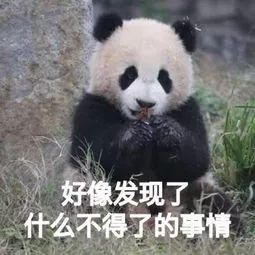 滚滚滚表情包图片宫颈癌疫苗