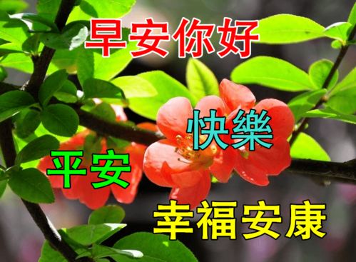 早上好表情包 我爱你早安