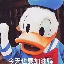 桃心胸比心表情包鸭子