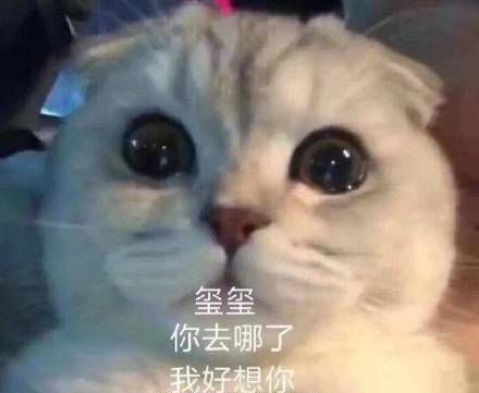 易烊千玺只是名字在综艺节目中被提及,评论区再次成为大型想玺现场