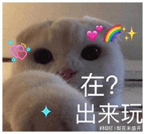 宝贝在干嘛表情包在干嘛