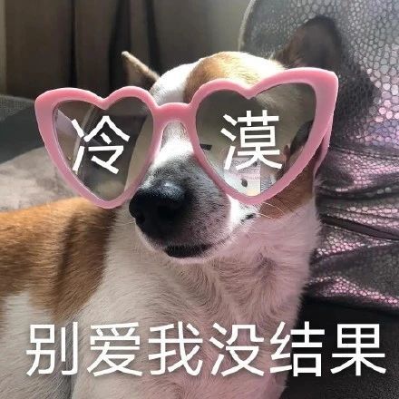 最新表情包图片别睡了,小懒猪,我都看见了