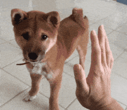抖音最火热门表情包