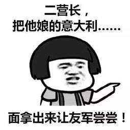 二营长把他娘的意大利梗表情包