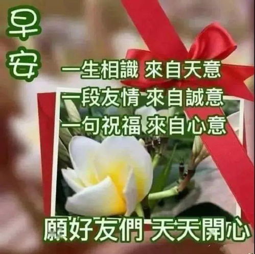 2020超经典的早上好问候祝福语动态图片,温馨可爱早安祝福语表情动图