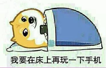 20岁,我们最亲密的恋人手机