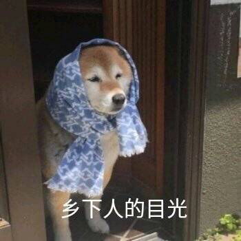 好羡慕富二代的生活啊有钱真的能解决很多问题