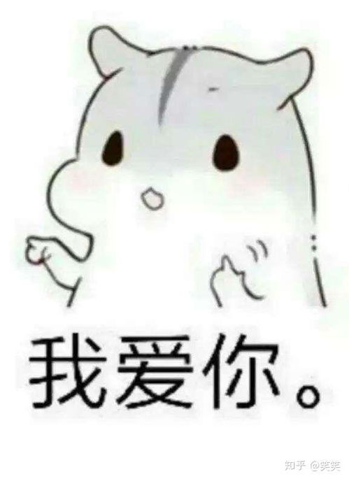 射手女如何搞定天蝎男