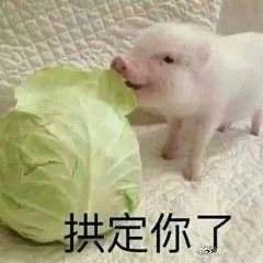 拯救钱包小技巧,爱奇艺vip会员帮你每个月省出一杯奶茶钱